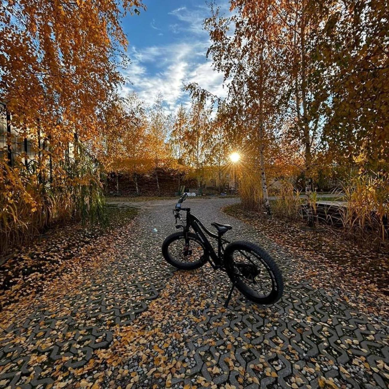 Pensjonat Zurawi Kat Górkło Buitenkant foto